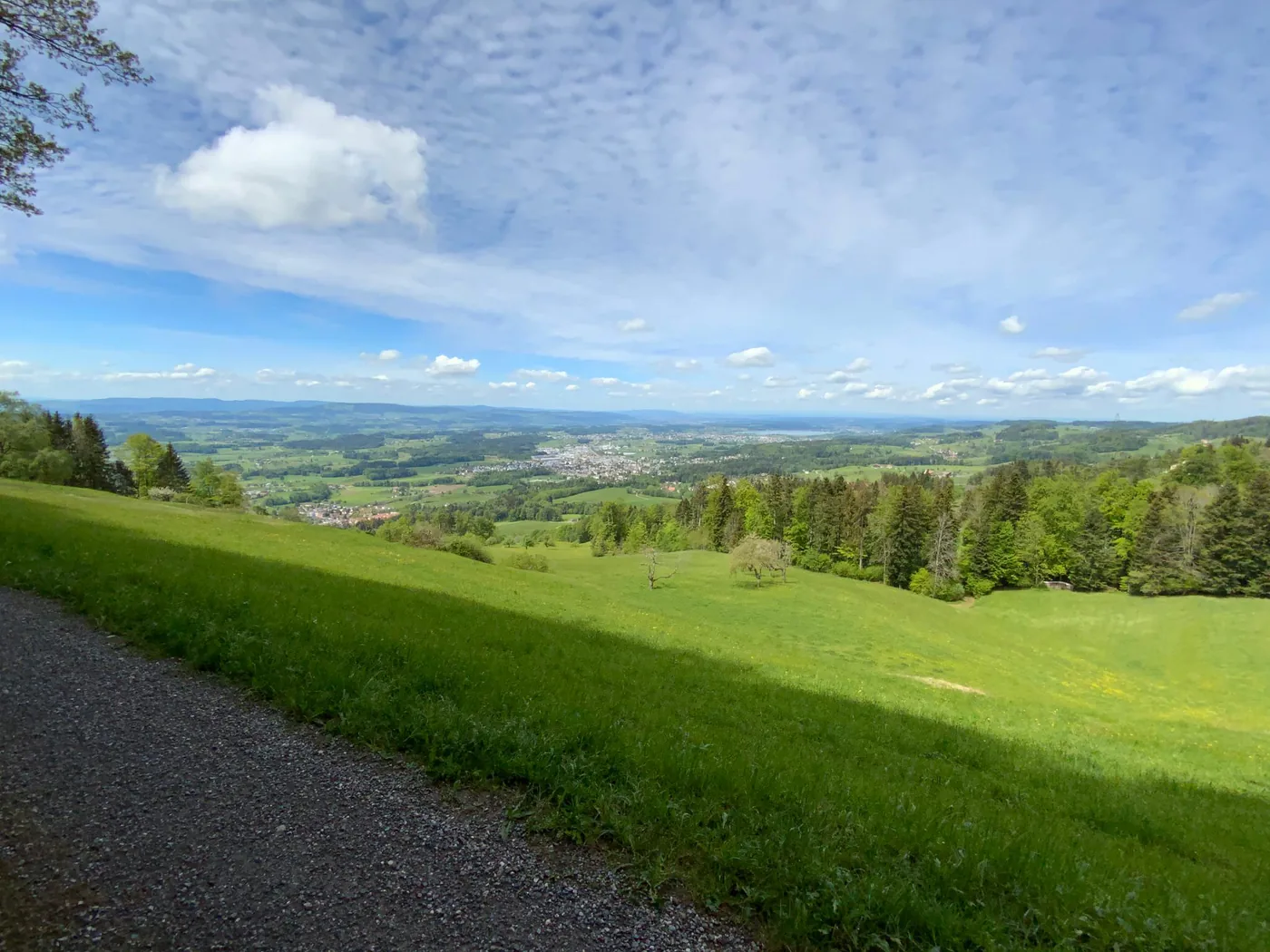 Grüne Landschaft mit Blick in die Ferne
